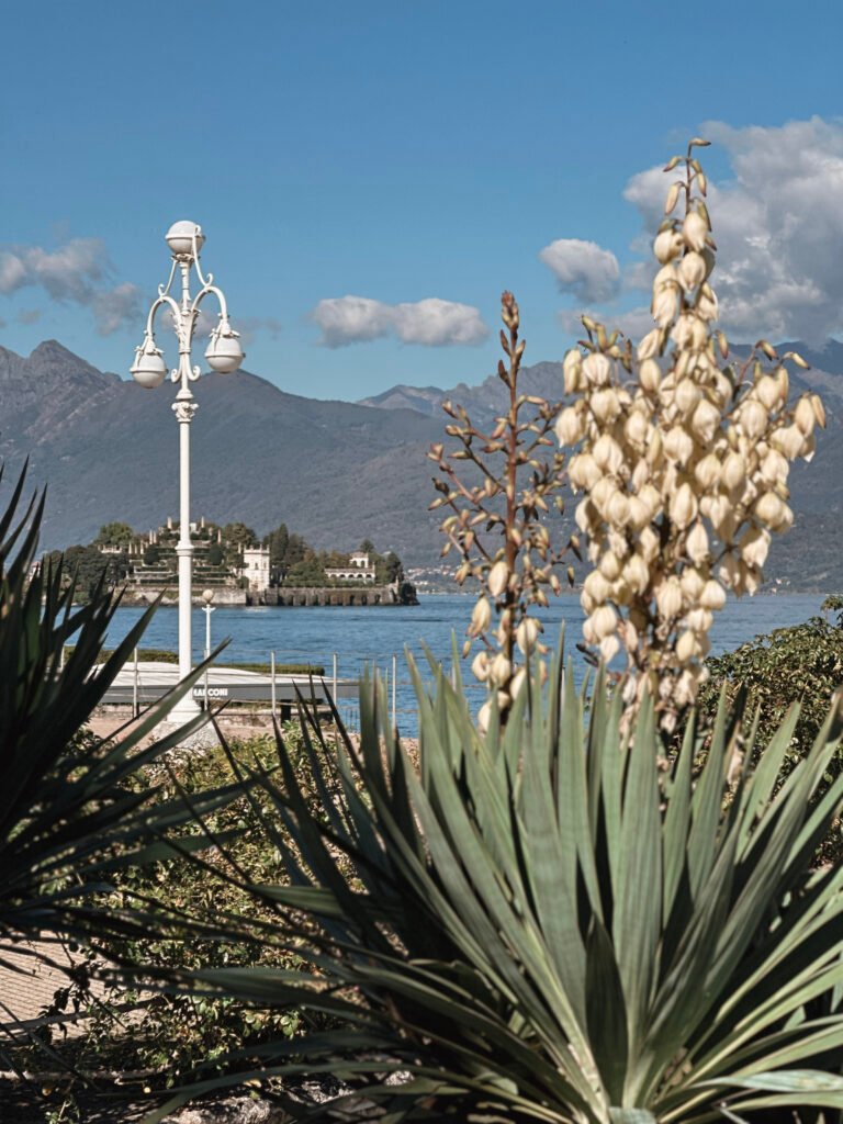 Image of Stresa, flowers and the Borromean Islands